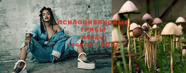 гидропоника Нея