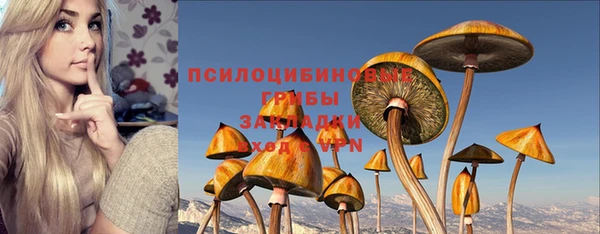 кокс Баксан