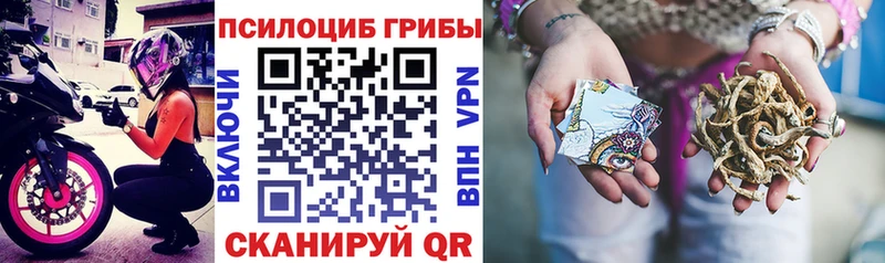 Галлюциногенные грибы Psilocybine cubensis  mega tor  Кизилюрт 